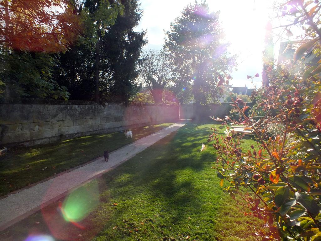 A La Fleur De Lys Bed & Breakfast Langeais Exterior photo